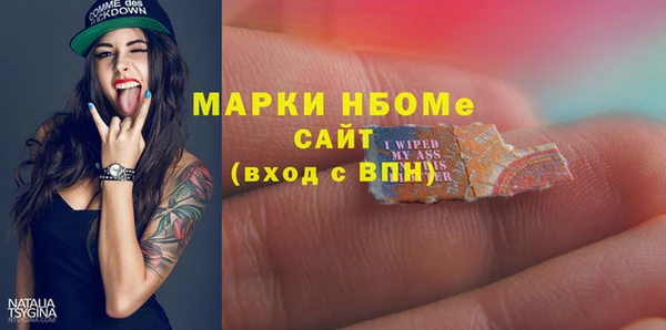 индика Алзамай