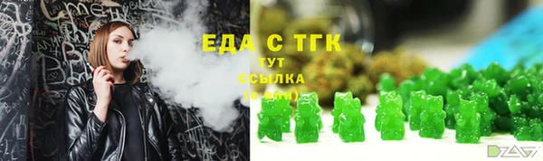 индика Алзамай