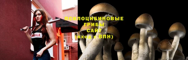 соль курить ск Алексин