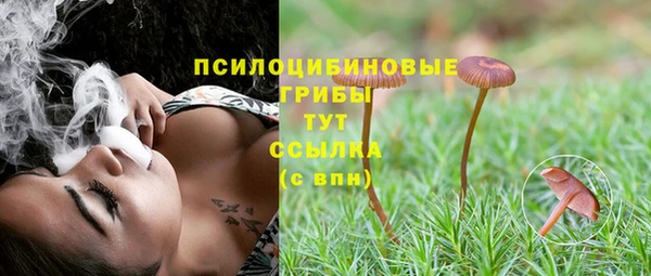 индика Алзамай