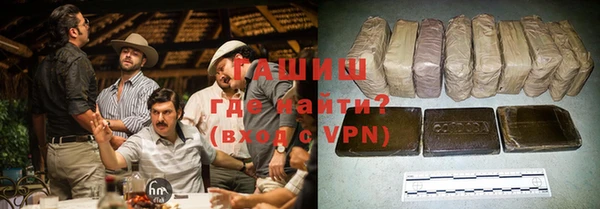 индика Алзамай